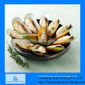 frozen half shell mussels price